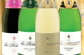 BEST SPARKLING WINE PRODUCER