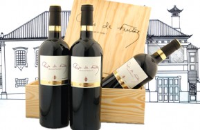 Lopo de Freitas Tinto no Correio da Manhã