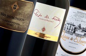 8 Bairradas selecionados 3 